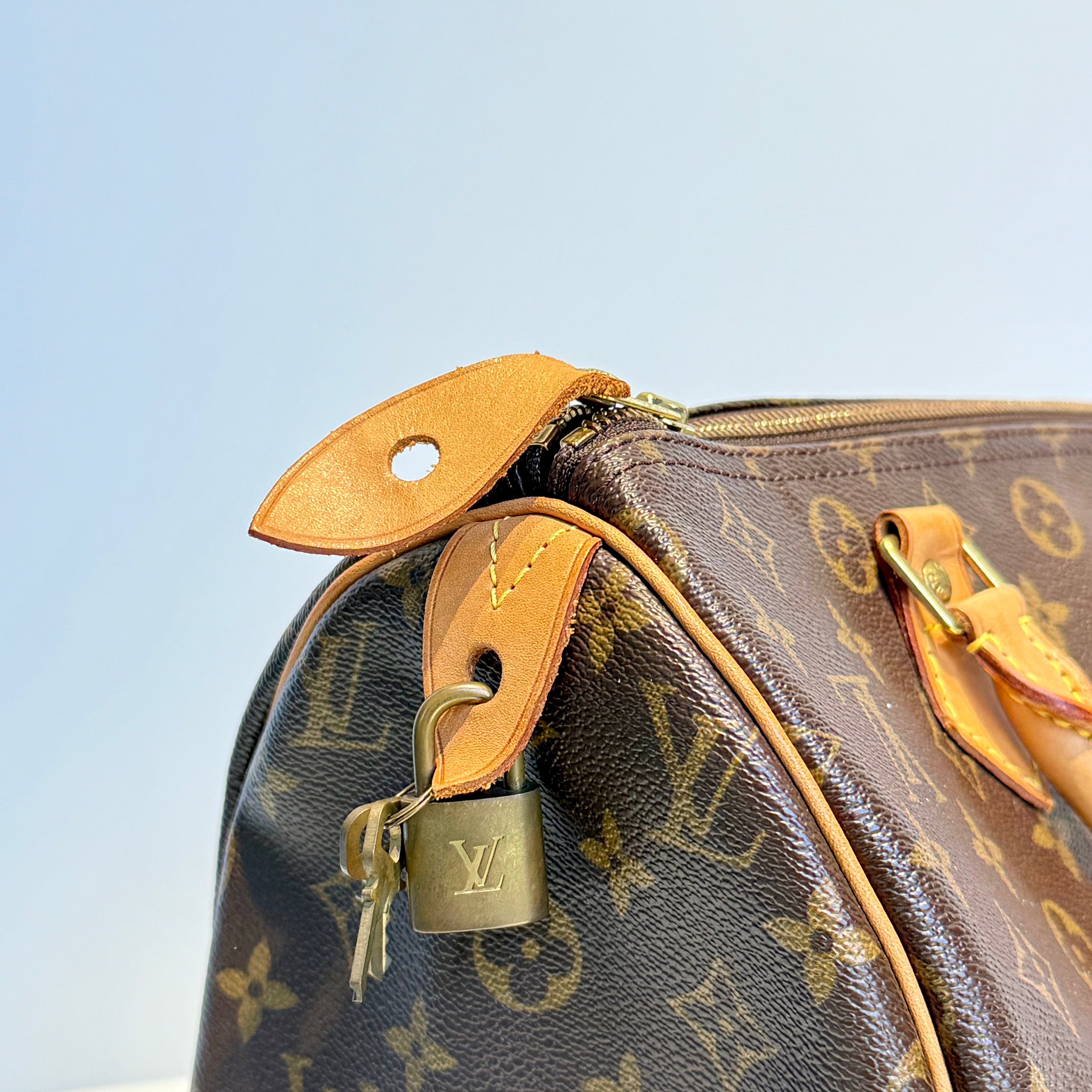Louis Vuitton Monogram Speedy 30 - Queen May