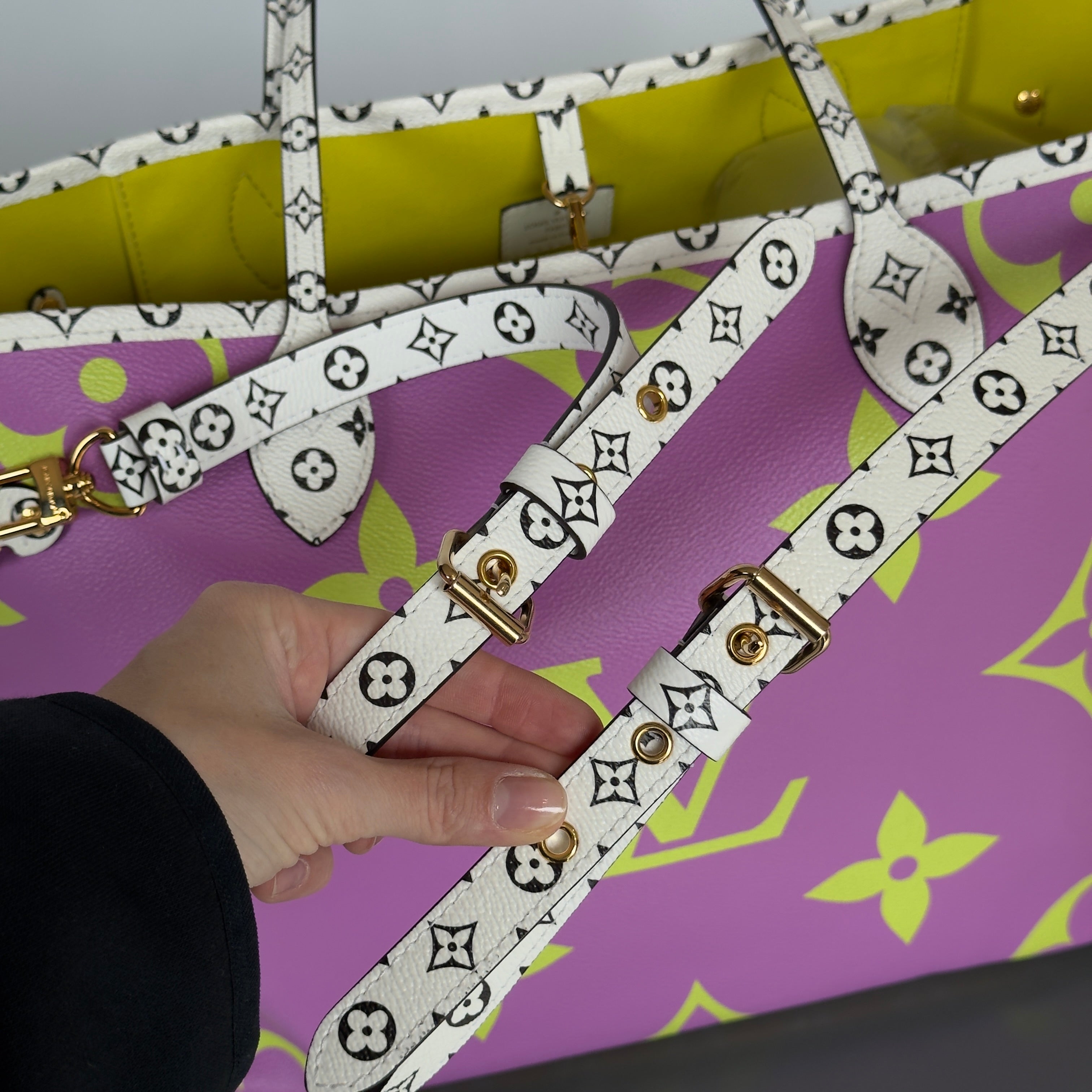 Louis Vuitton Neverfull NM Tote Limited Edition Colored Giant MM - Queen May