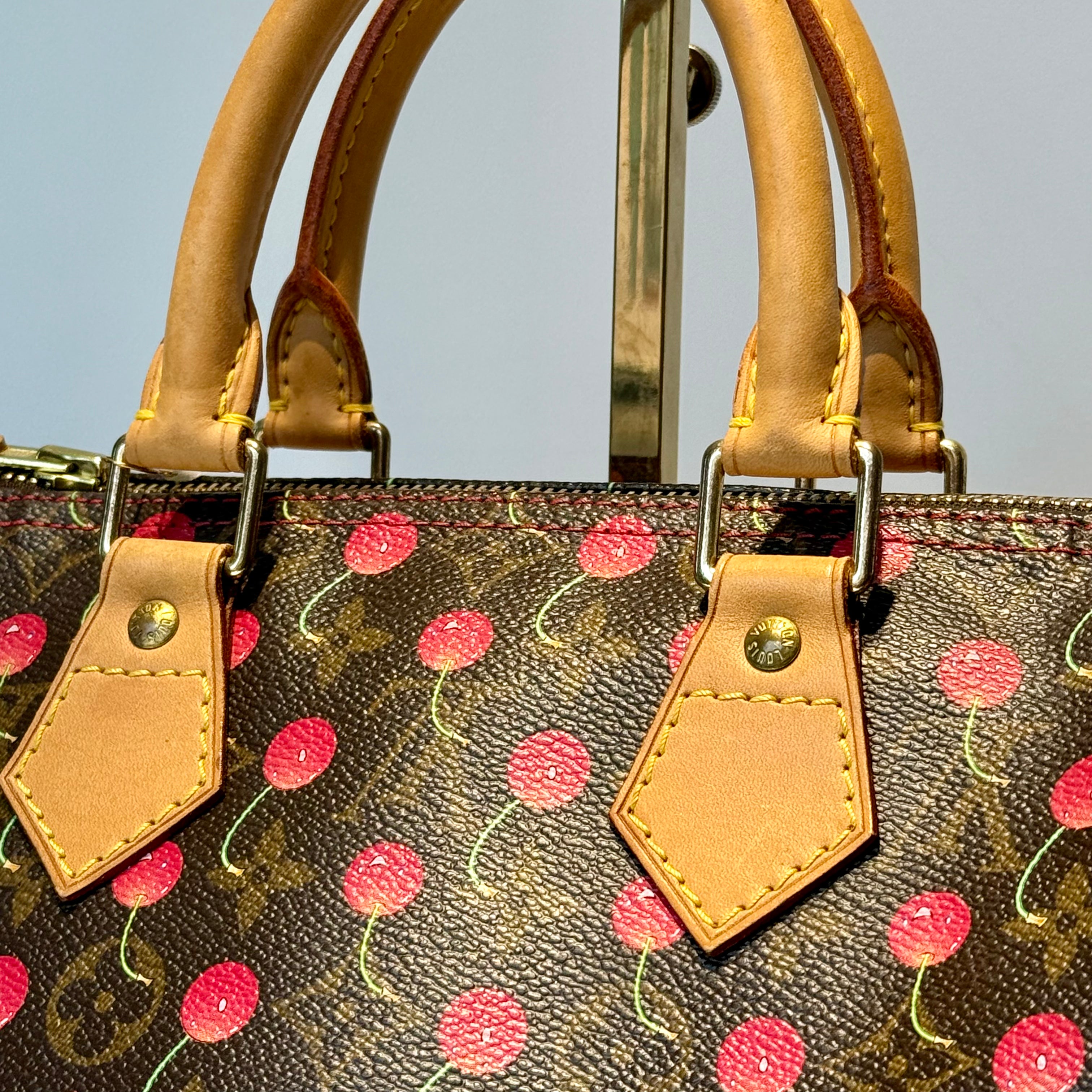 Louis Vuitton Cerise Speedy 25 - Queen May