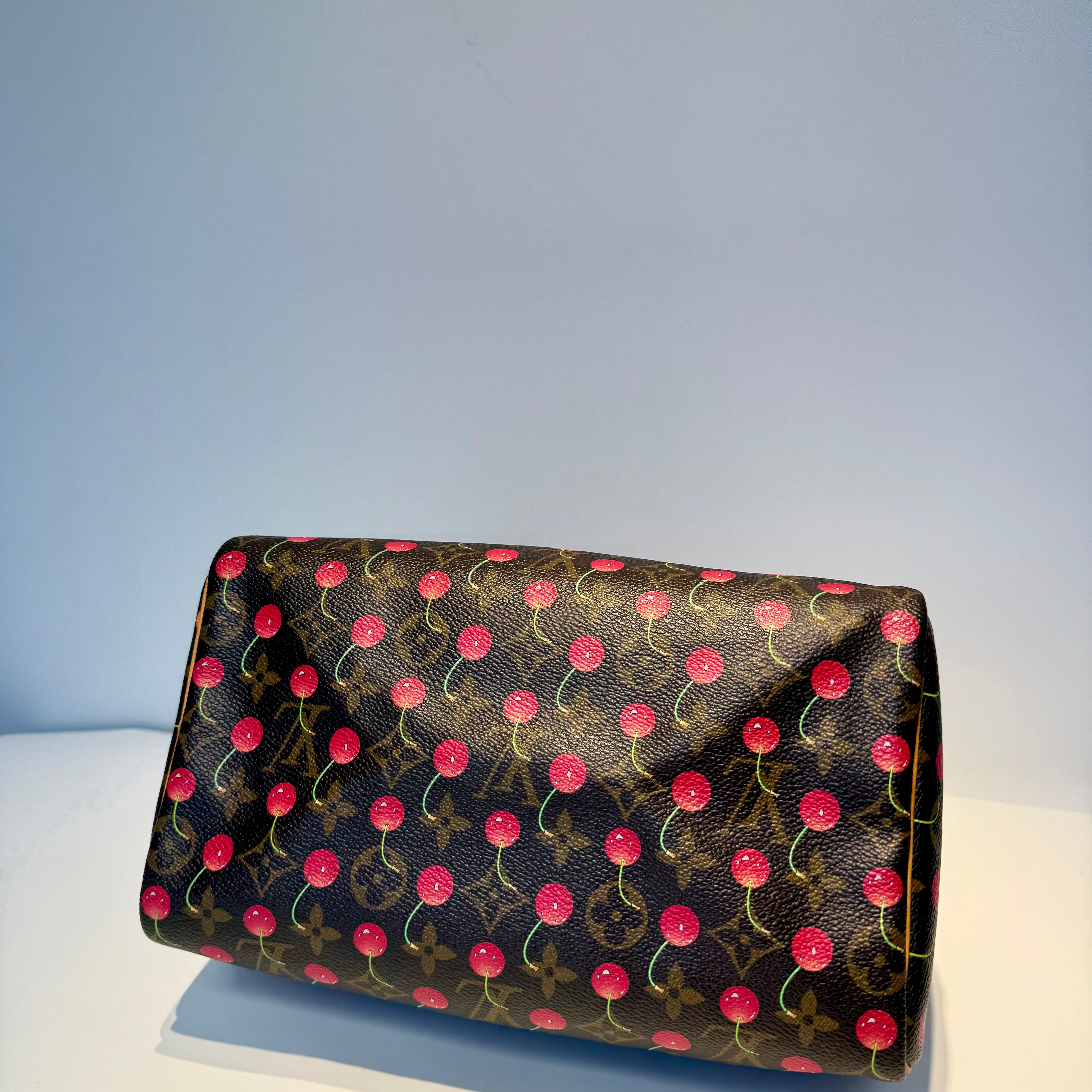 Louis Vuitton Cerise Speedy 25 - Queen May