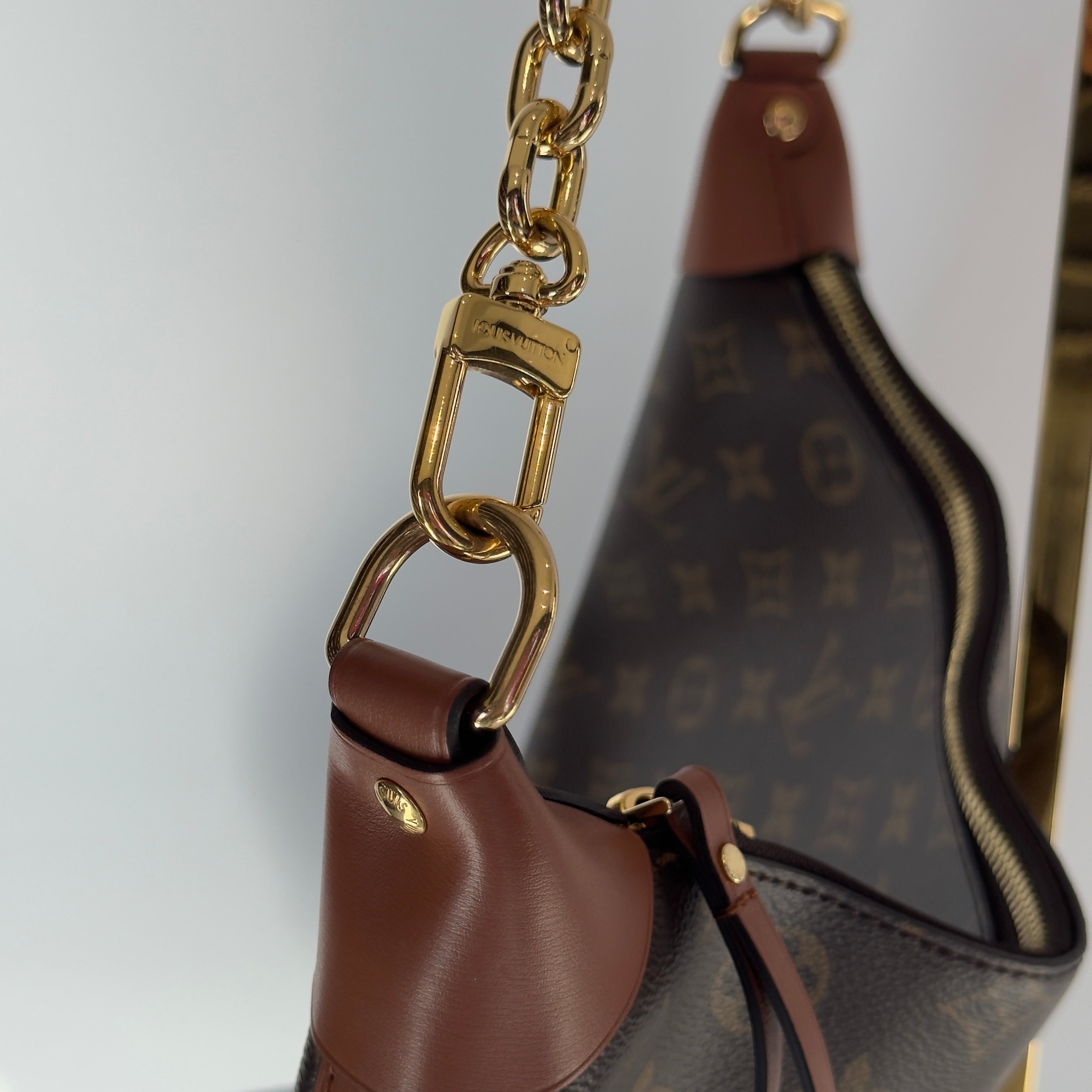Louis Vuitton Monogram Loop Hobo - Queen May