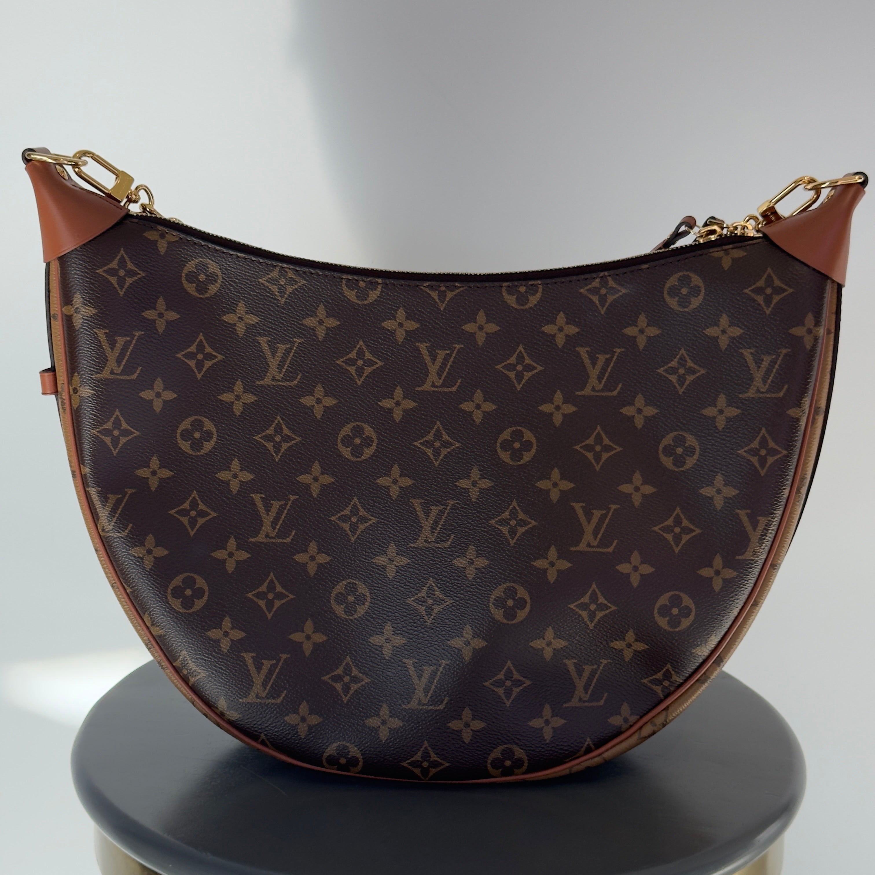 Louis Vuitton Monogram Loop Hobo - Queen May
