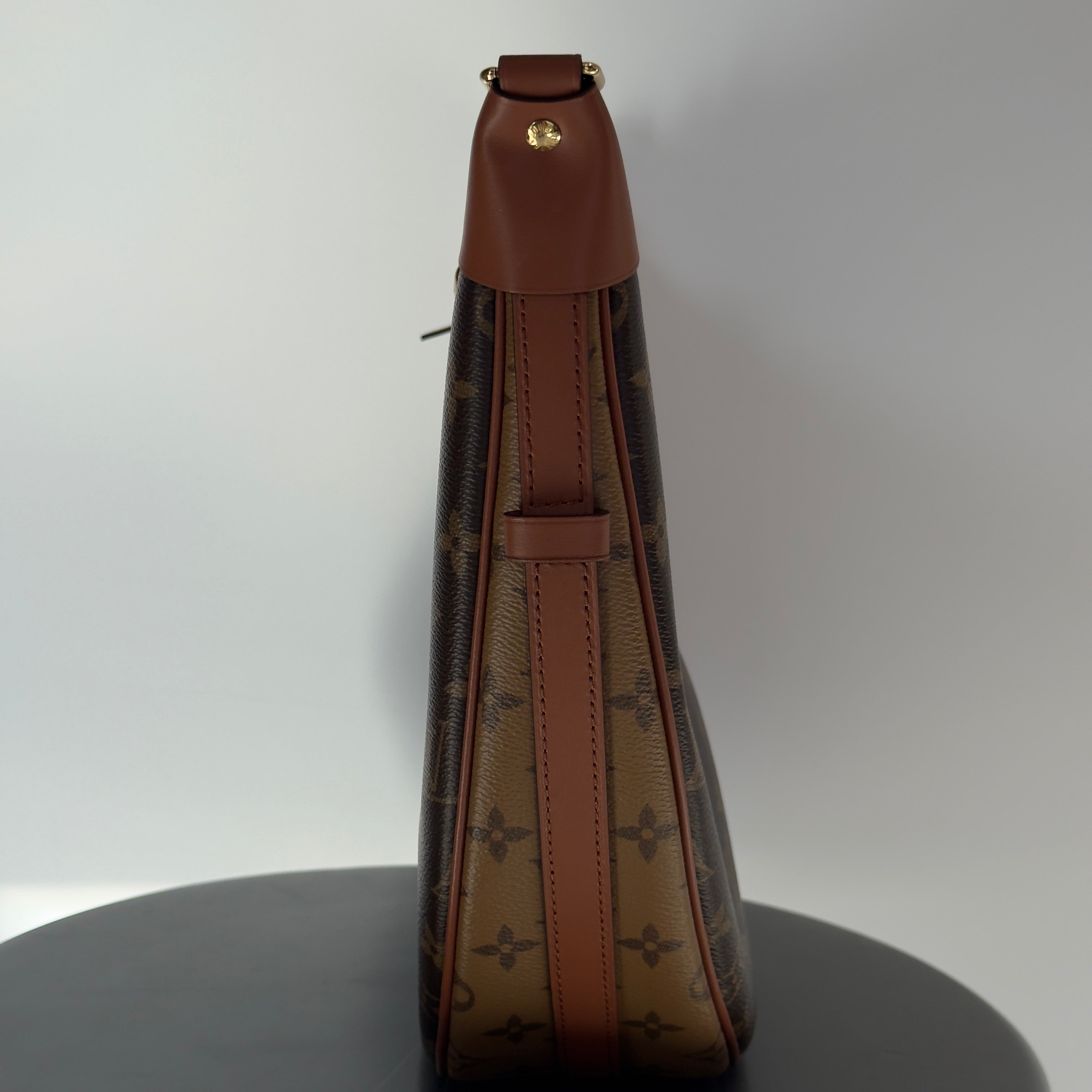 Louis Vuitton Monogram Loop Hobo - Queen May