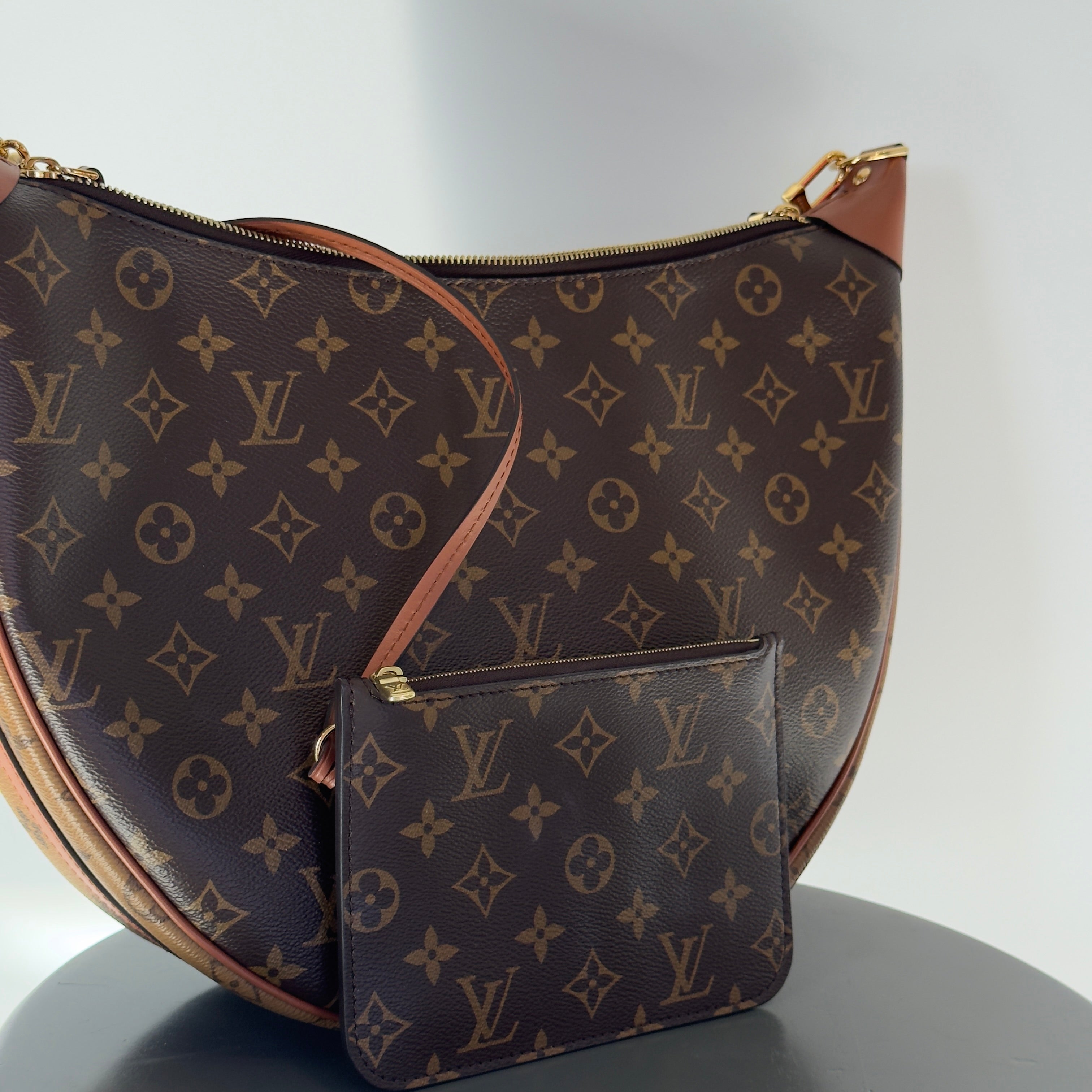 Louis Vuitton Monogram Loop Hobo - Queen May