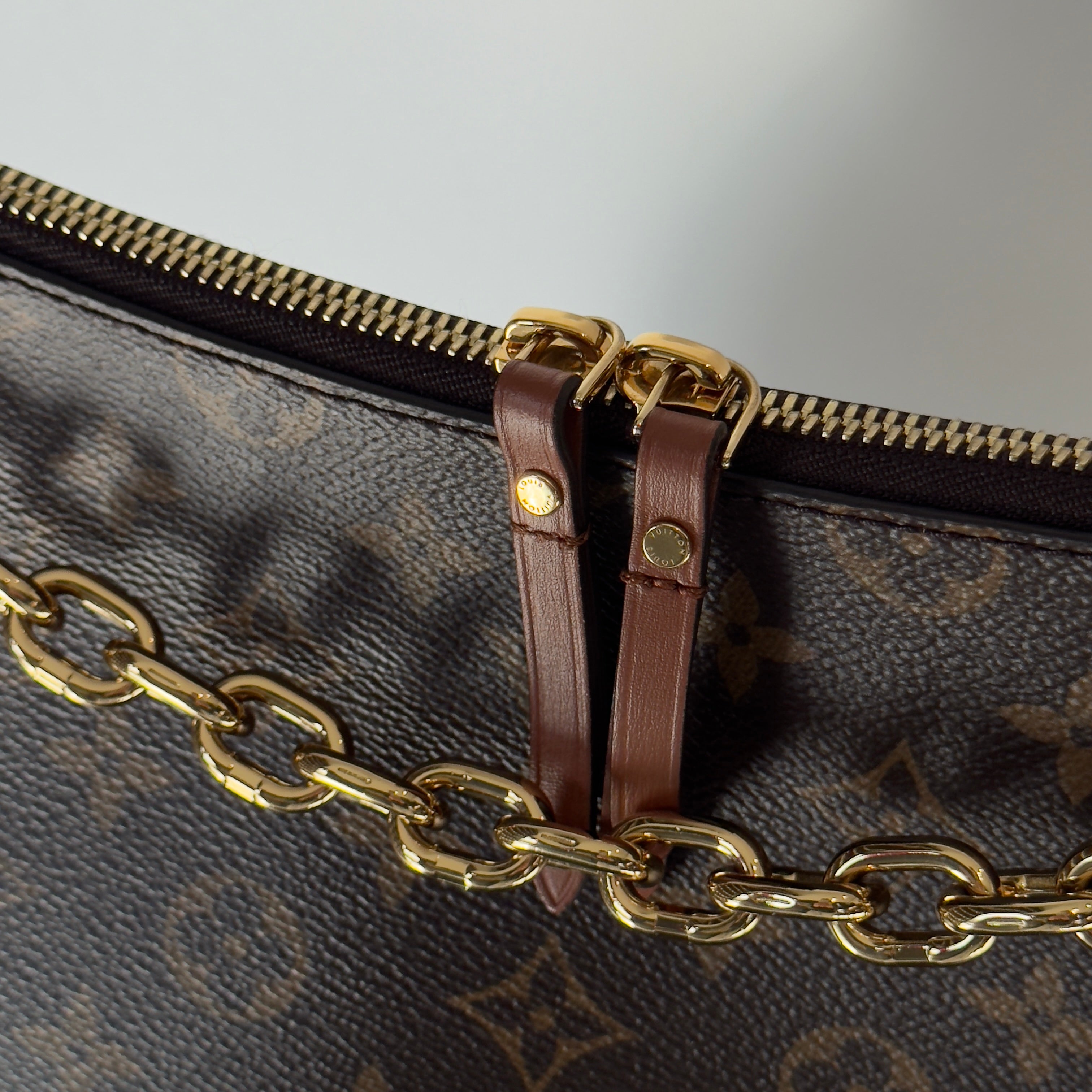 Louis Vuitton Monogram Loop Hobo - Queen May