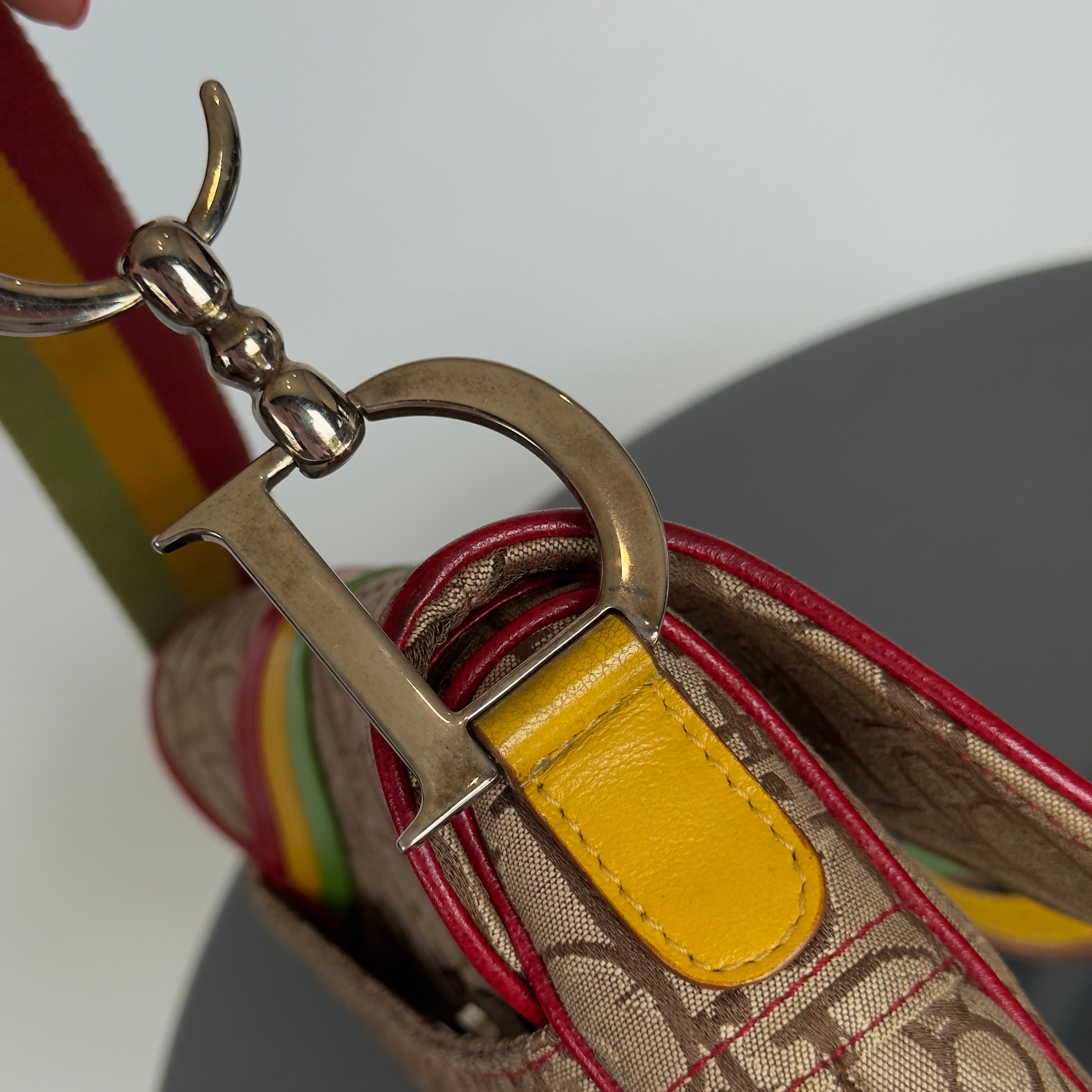Dior Diorissimo Rasta Saddle Bag - Queen May