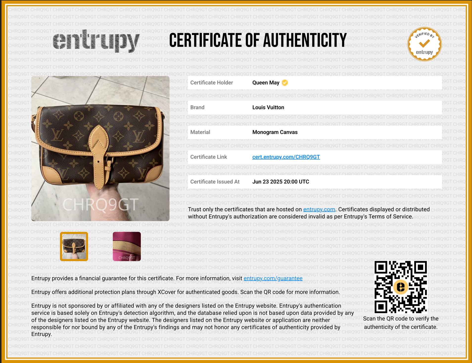 Louis Vuitton Monogram Diane - Queen May