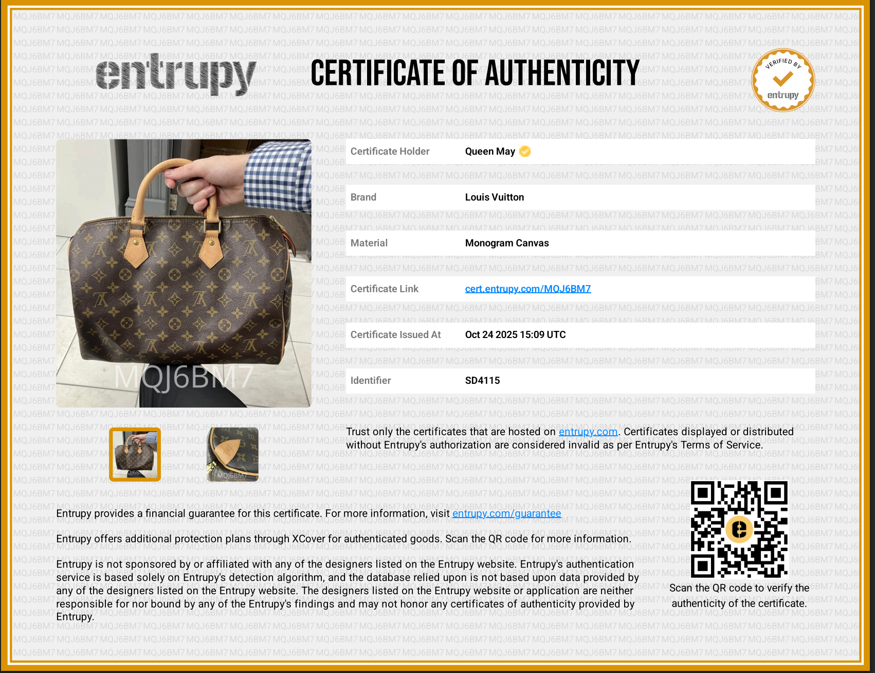 Louis Vuitton Monogram Speedy 35 - Queen May