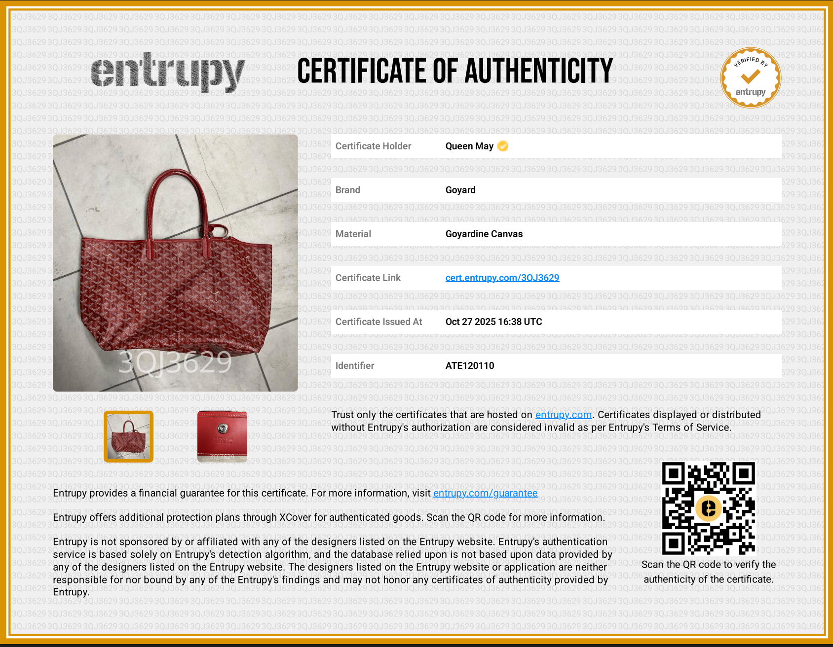 Goyard St Louis PM Tote - Queen May