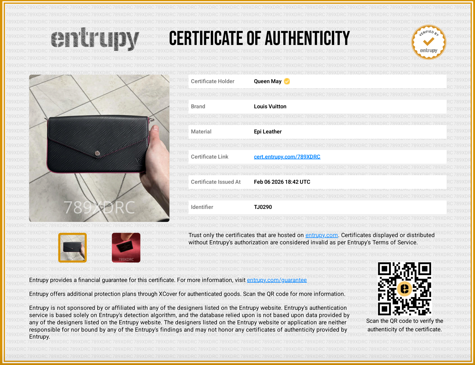 Louis Vuitton Epi Felicie Pochette - Queen May