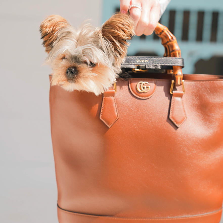 Gucci Diana Medium Leather Tote Brown - Queen May
