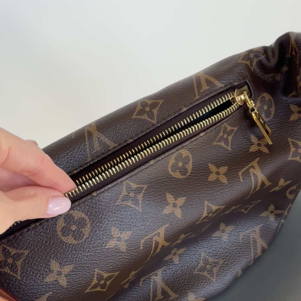 Louis Vuitton Monogram Bum Bag - Queen May