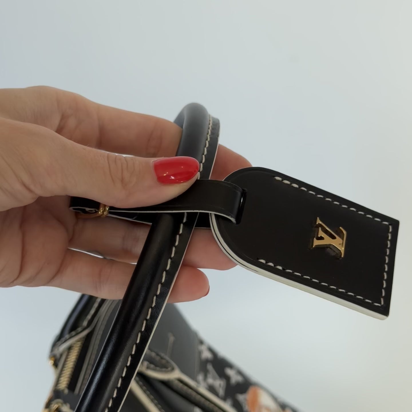 Limited Edition Louis Vuitton Grace Coddington Catogram Alma Souple Bag - Queen May