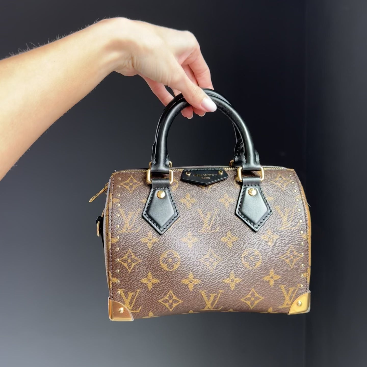 Louis Vuitton Speedy Trunk 20 - Queen May