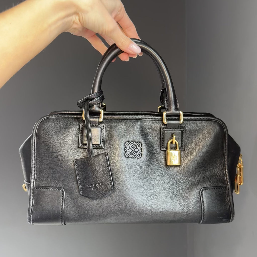Loewe Leather Amazona 28 - Queen May