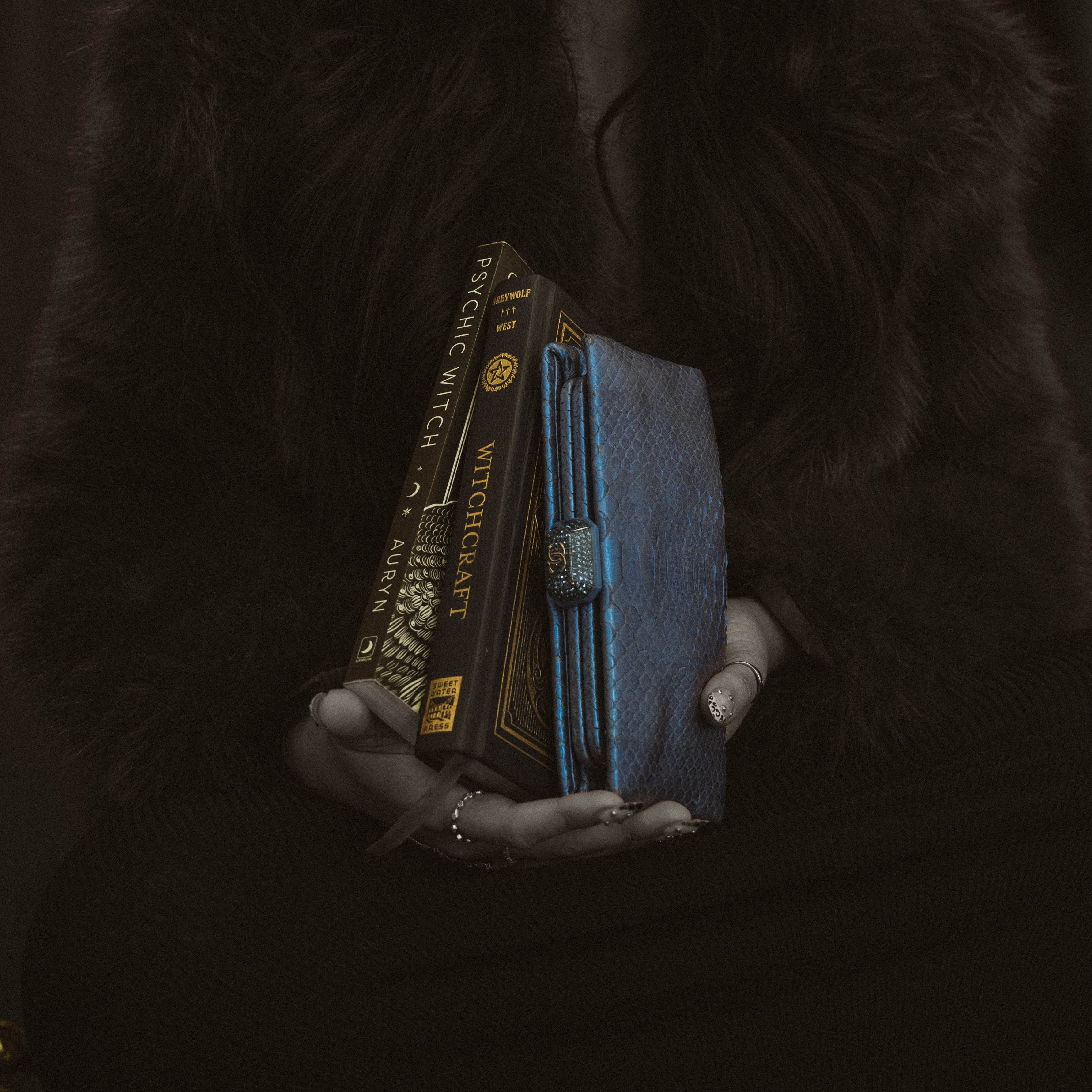 Vintage Chanel Classic Clutch Bag Blue Python - Queen May