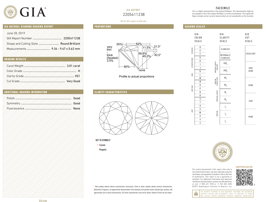 New Platinum 3.01 Carat Round Brilliant Cut Diamond Halo Engagement Ring GIA Certified - Queen May